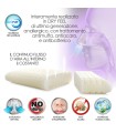 Cuscino Dry Feel New Ergo