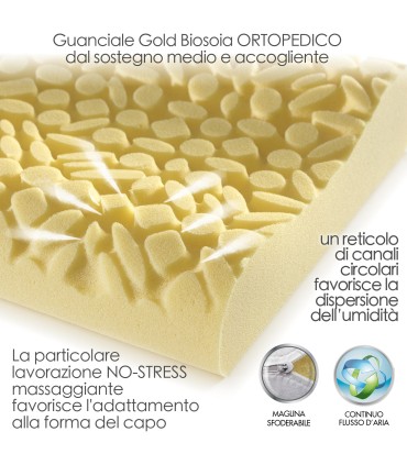 Guanciale Gold Biosoia Orto