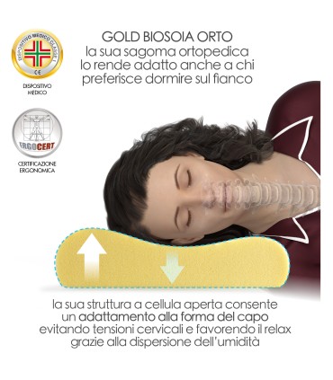 Guanciale Gold Biosoia Orto