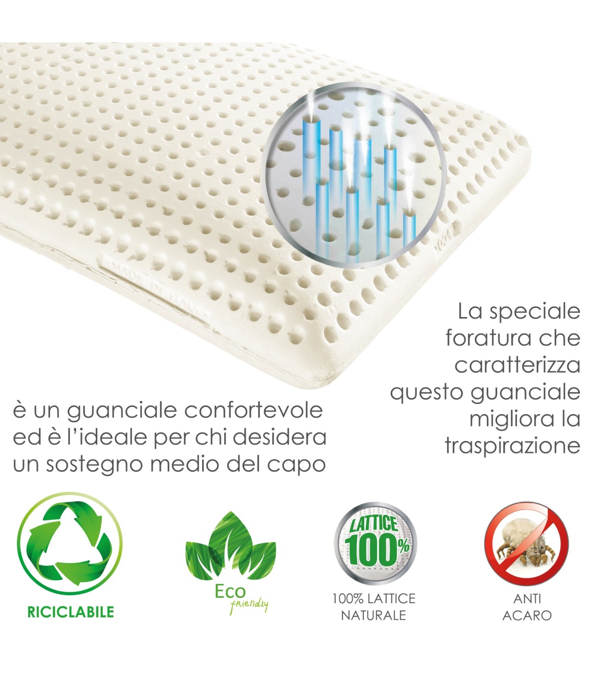 Cuscino guanciale lattice