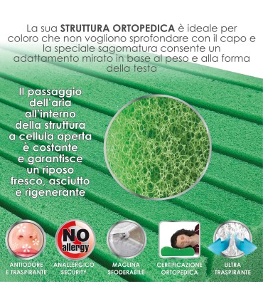 Cuscino Dry Cool New Aloe Orto