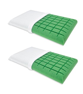 Coppia Cuscini Dry Cool New Aloe Ergo
