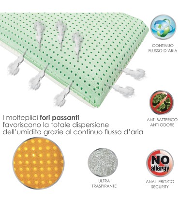 Guanciale Bio Double H 13