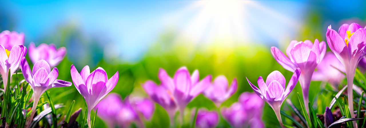 Slide background